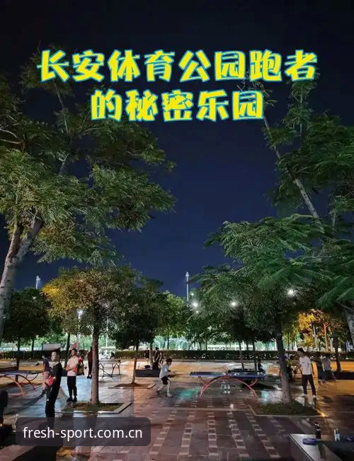 云体育平台登录体验深度解析：内外都清爽的秘密究竟在哪？